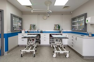 current-vacancies-veterinary-team-2624d51a160ecd