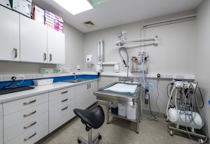 current-vacancies-veterinary-team-3624d51a17e745
